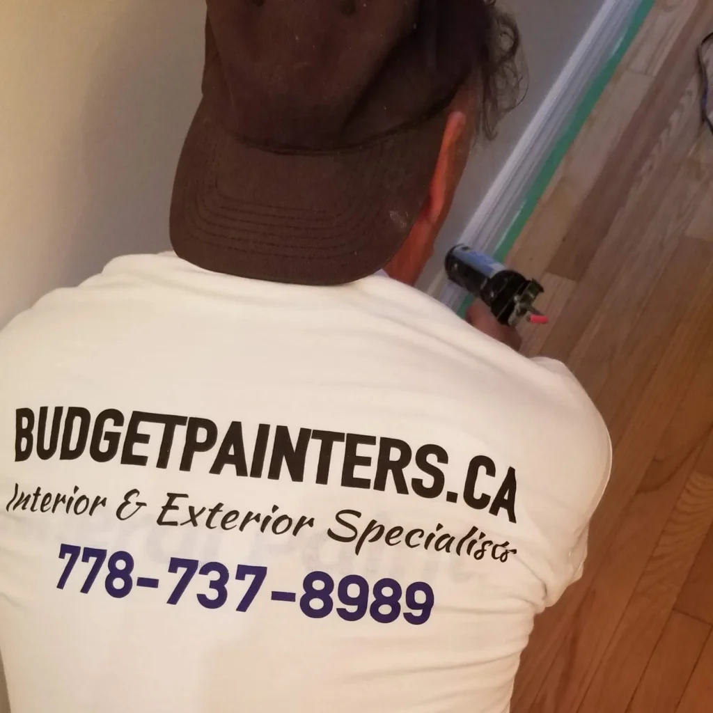 expert painting in vancouver